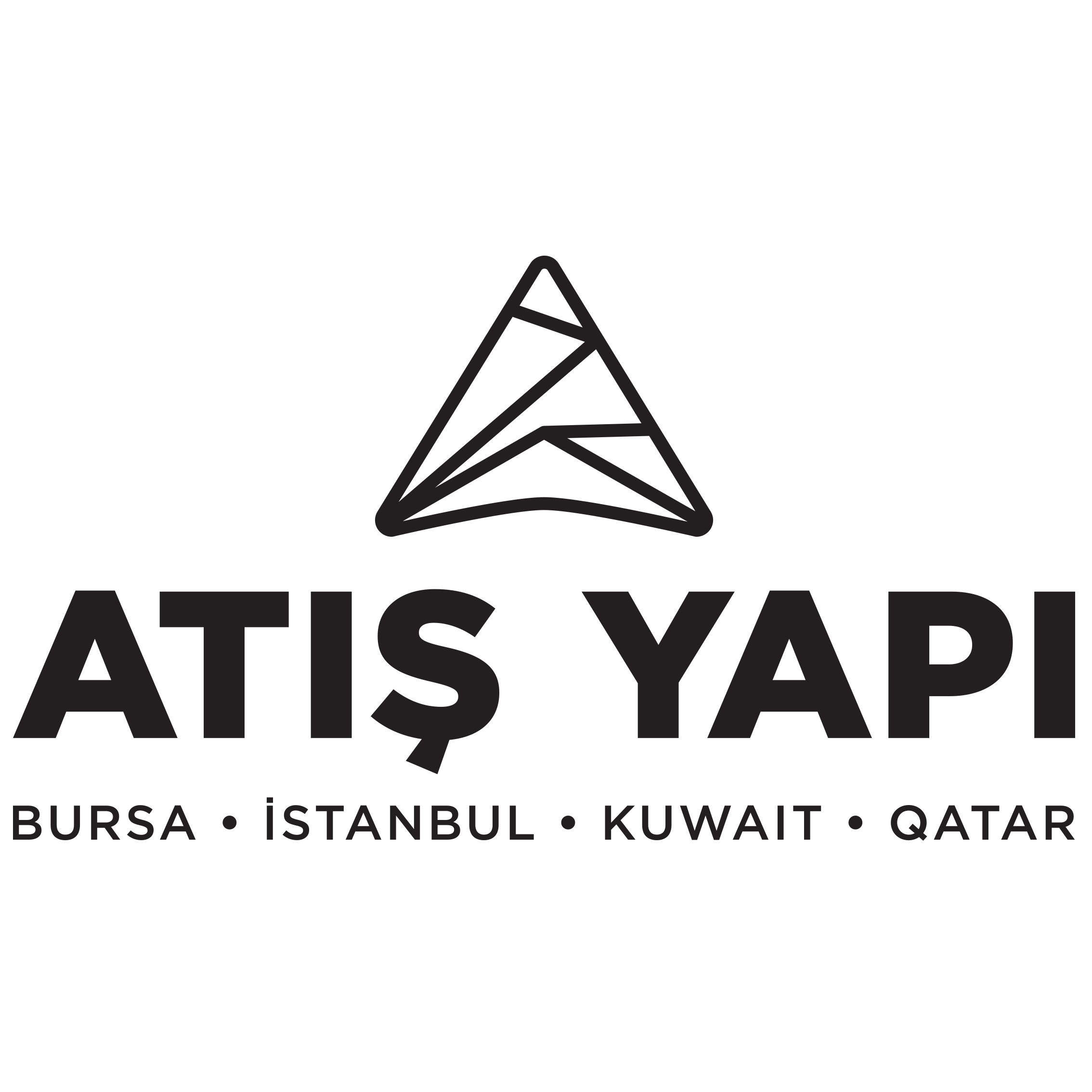 ATIŞ YAPI